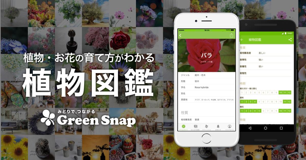 GreenSnap_zukan.jpg