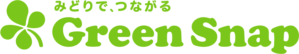 GS_logo.png
